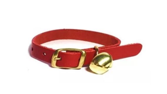 Collar De Cuero Para Gato Con Cascabel Pets And Friends