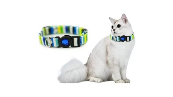 Collar Para Tu Mascota Gato De Nylon Rayado Hey!