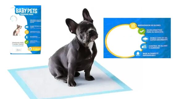 10 Pañales Sabanillas Para Perros 60x60cm Control De Olores