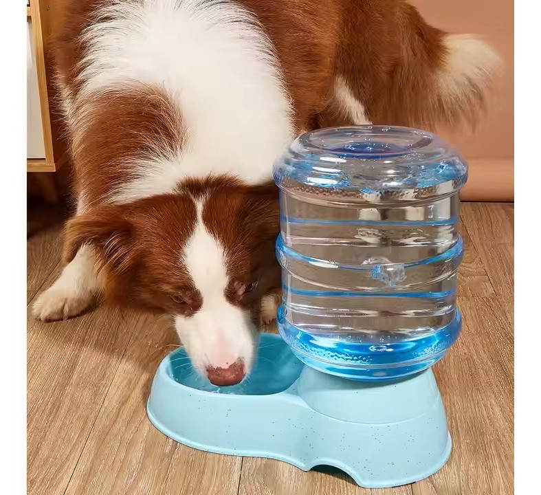 Bebedero Para Perros Gatos Mascota Dispensador De Agua 3,5lt - Imagen 8