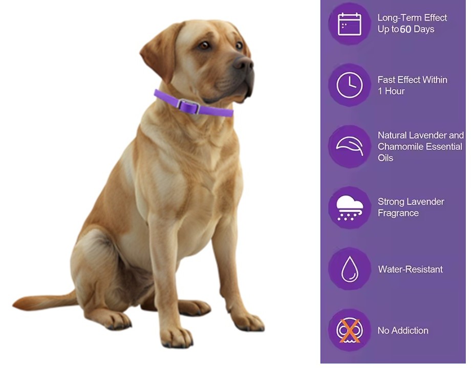 Pack 4 Collar Para Perro Con Feromonas Relajante Calmante - Imagen 5