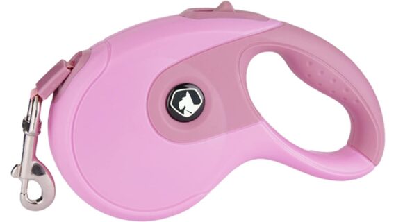 Correa Retráctil Para Perro Correa 5mts Perro Grande Talla L