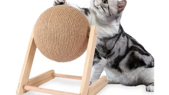 Rascador Para Gato Juguete Bola Giratoria Interactiva