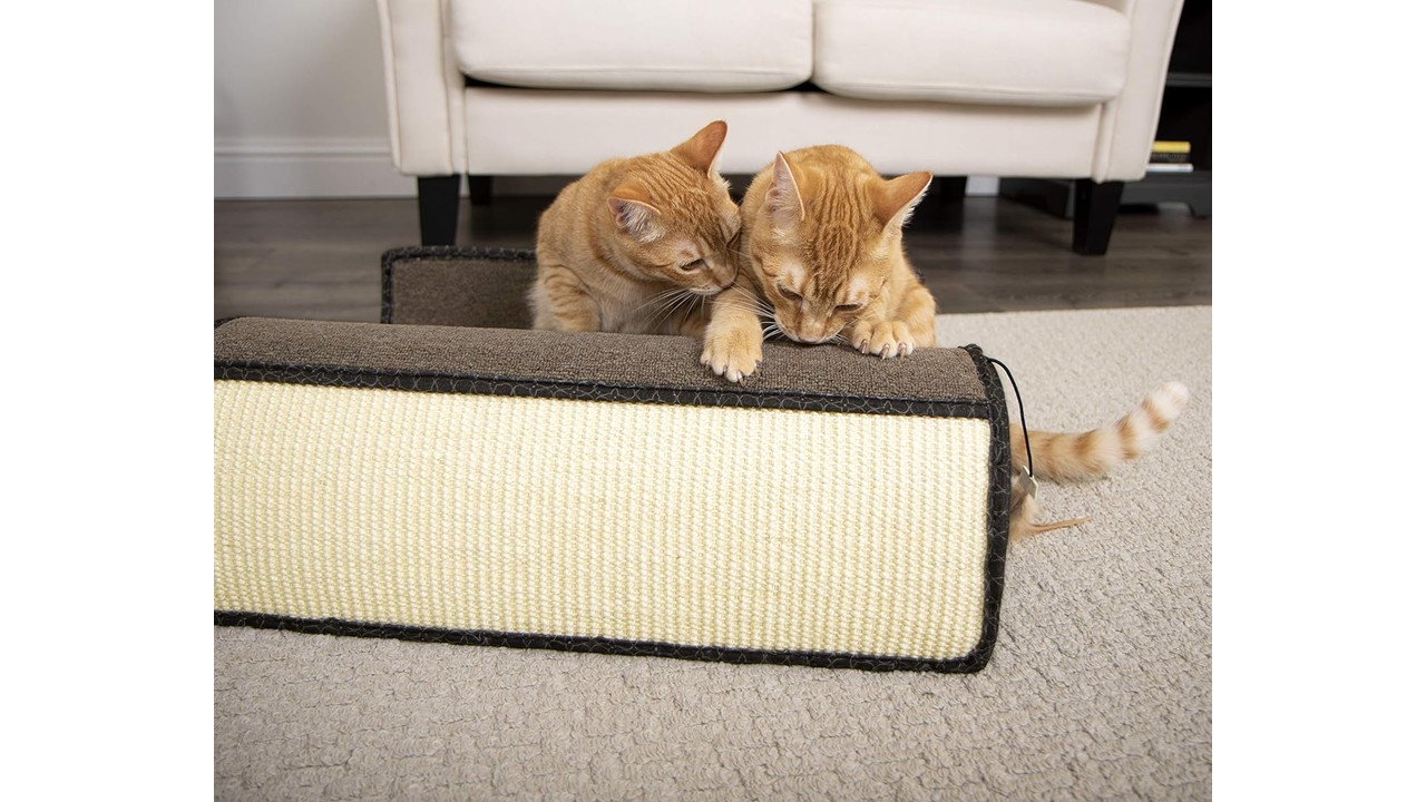 Rascador Para Gato Curvo Con Colgante Color Café - Imagen 3