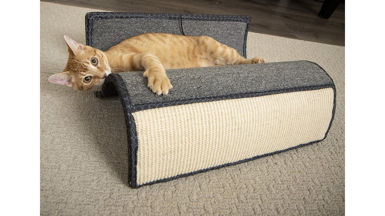 Rascador Para Gato Curvo Con Colgante Color Café - Imagen 7