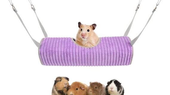 Cama Túnel Colgante Para Roedores Hurones Hamsters Erizo