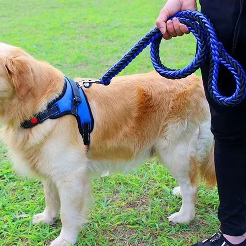 Correa Trailla Para Perros Mascotas Trenzada 3x120cm - Imagen 4