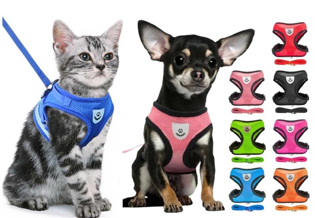 Arnés Transpirable Con Correa Raza Pequeña Para Perros Gatos - Imagen 3
