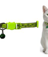 Collar Para Gato Gatita Anti Ahorque Con Diseño Huellitas