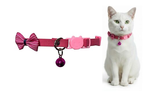 Collar Para Gato Gatita Anti Ahorque Con Lazo