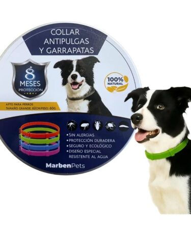 Collar Repelente Anti Pulgas Para Perro Ajustable 62 Cm Verde