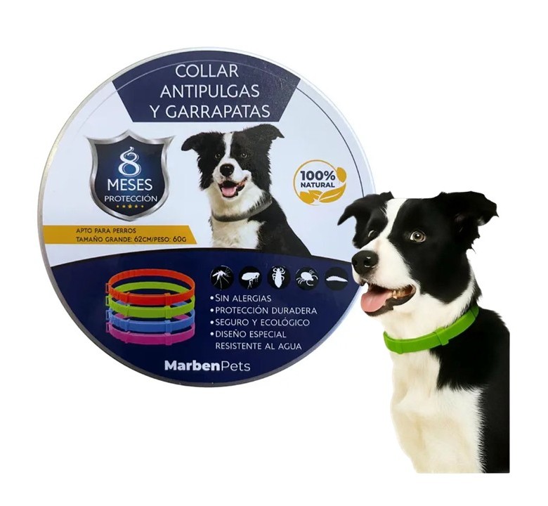 Collar Repelente Anti Pulgas Para Perro Ajustable 62 Cm Verde